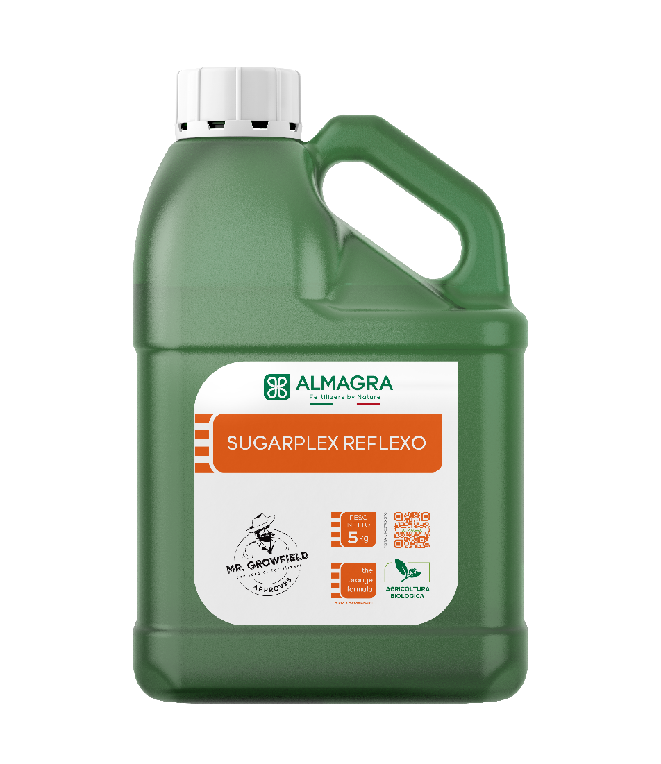 Sugarplex Reflexo Kg 1